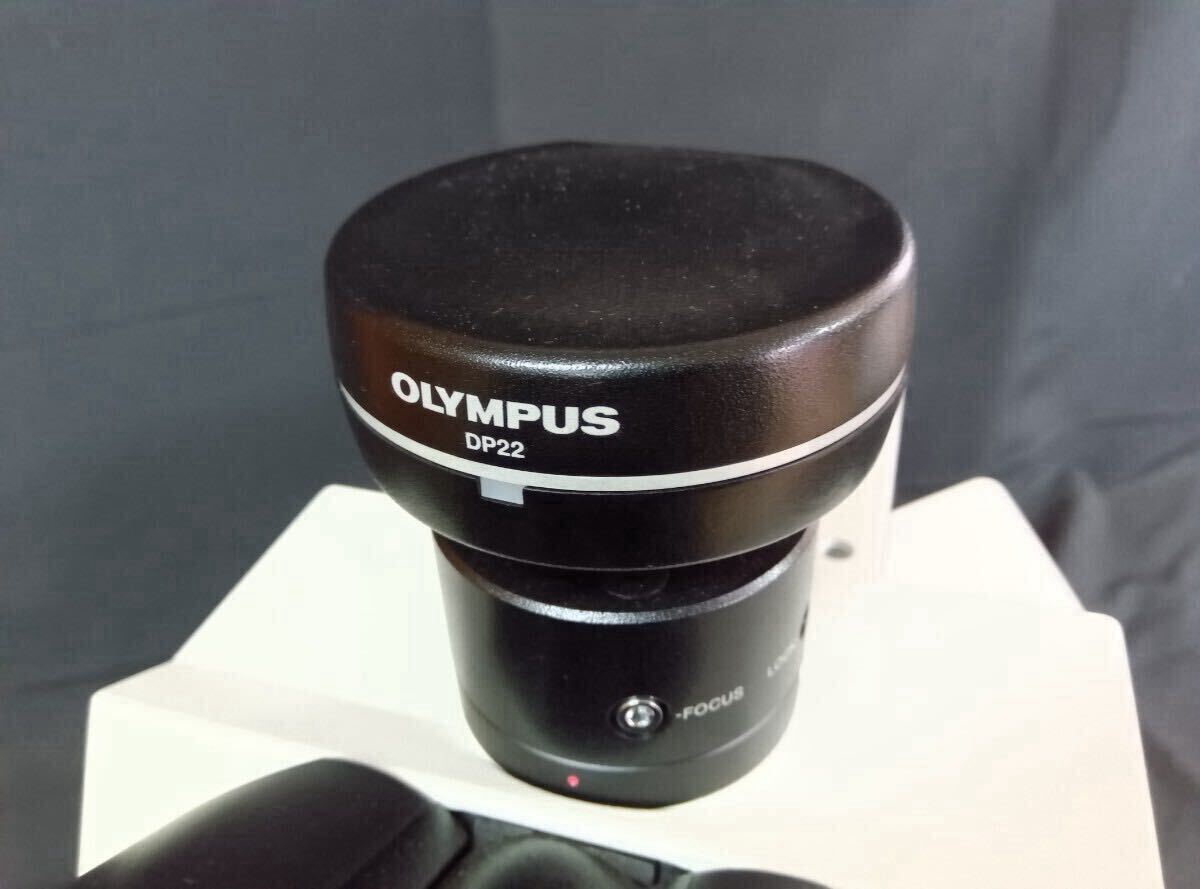 Olympus BX53MTRF-S Microscope [n1243266940]