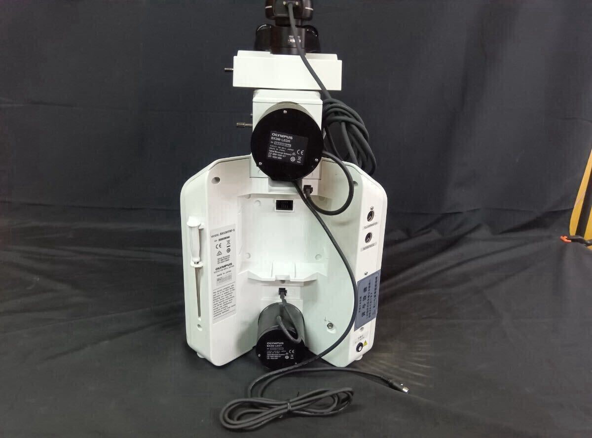 Olympus BX53MTRF-S Microscope [n1243266940]