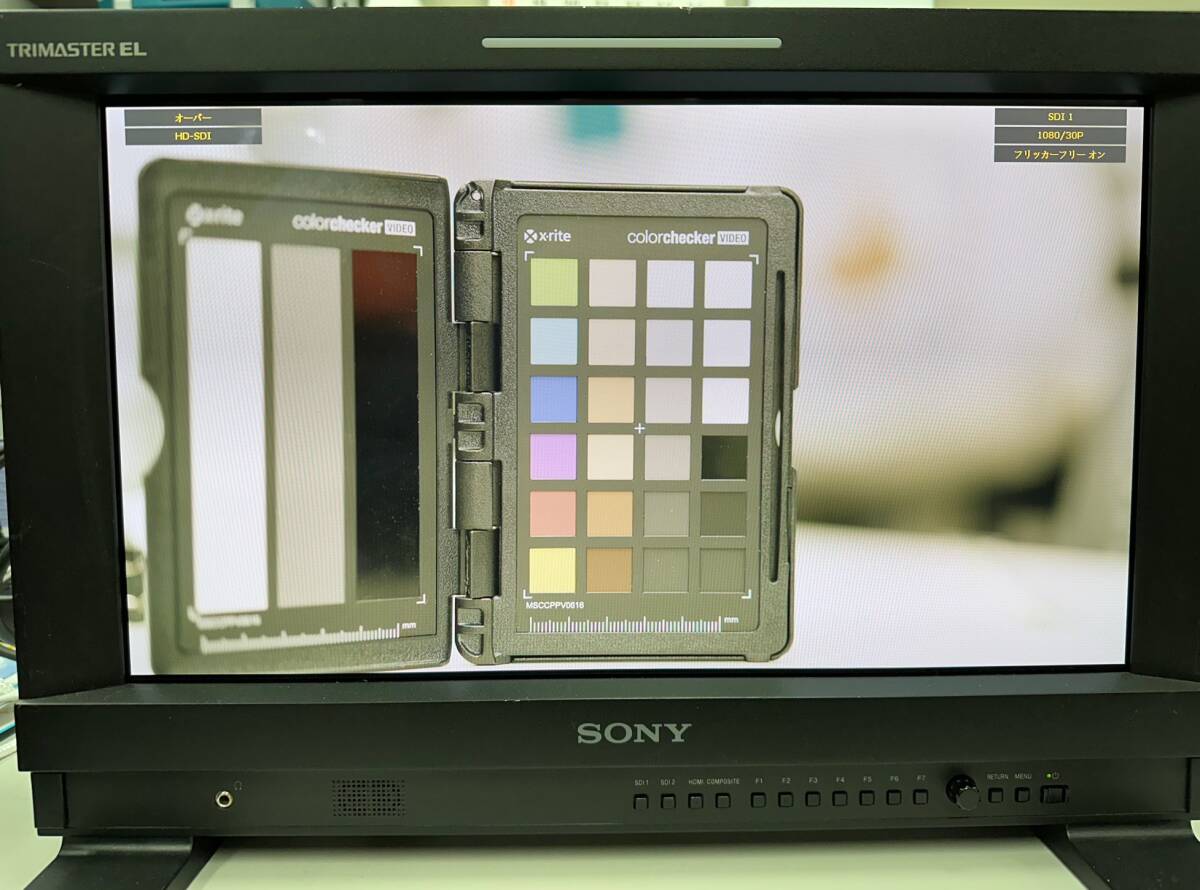 Sony PVM-1741 Commercial Organic EL Monitor 17 inch [m1185002113]