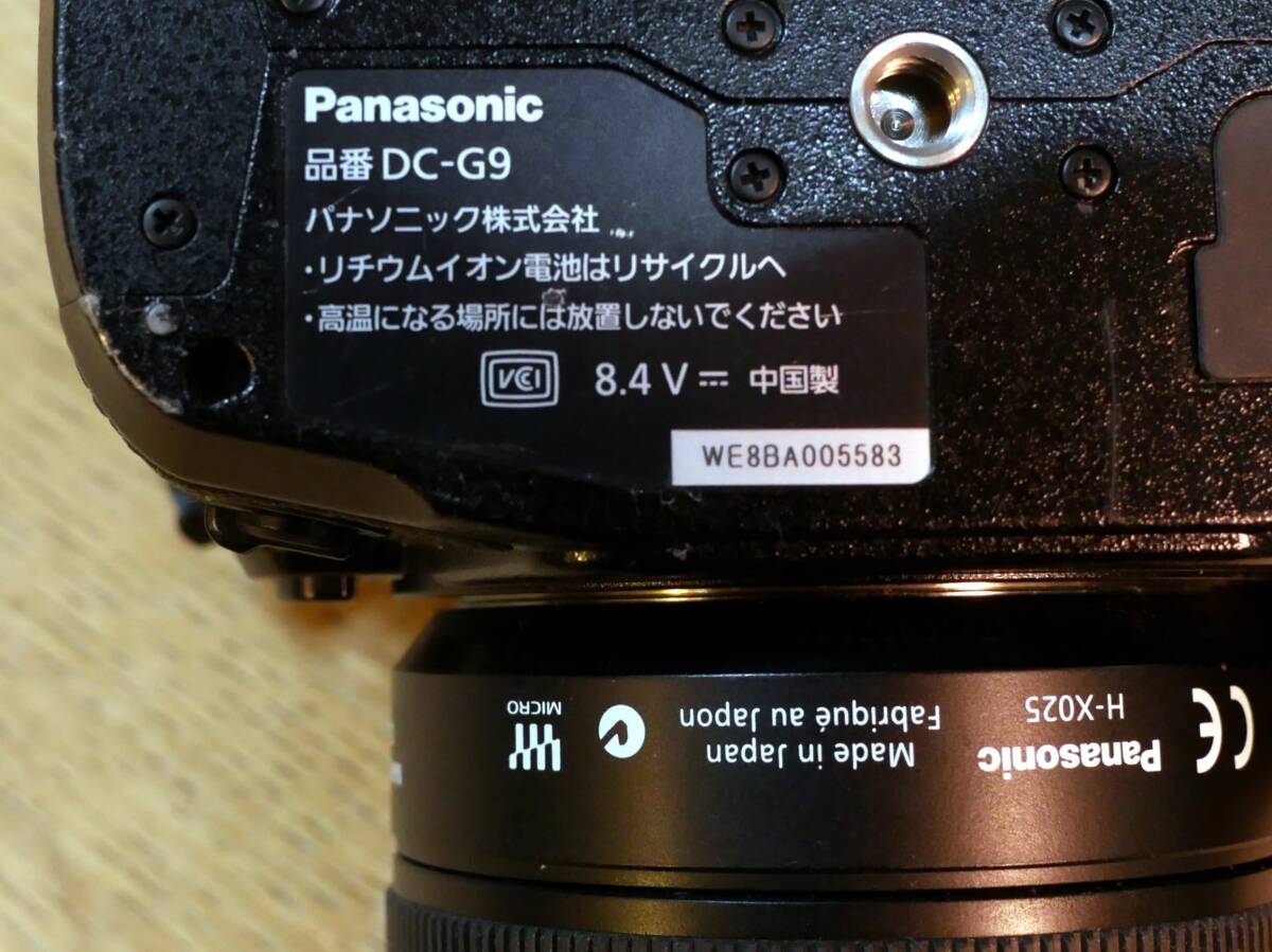 Panasonic LUMIX DC-G9 LEICA DG SUMMILUX 25mm F1.4 Camera Set [d1206026333]