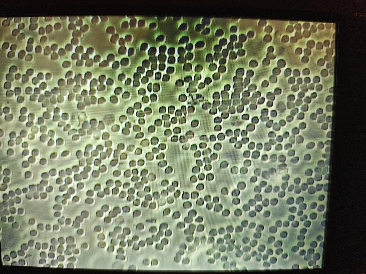 Digital Phase Contrast Microscope IS-2004 with 2x10/40 Lenses and 7.1 Inch LCD Monitor [e1215536608]