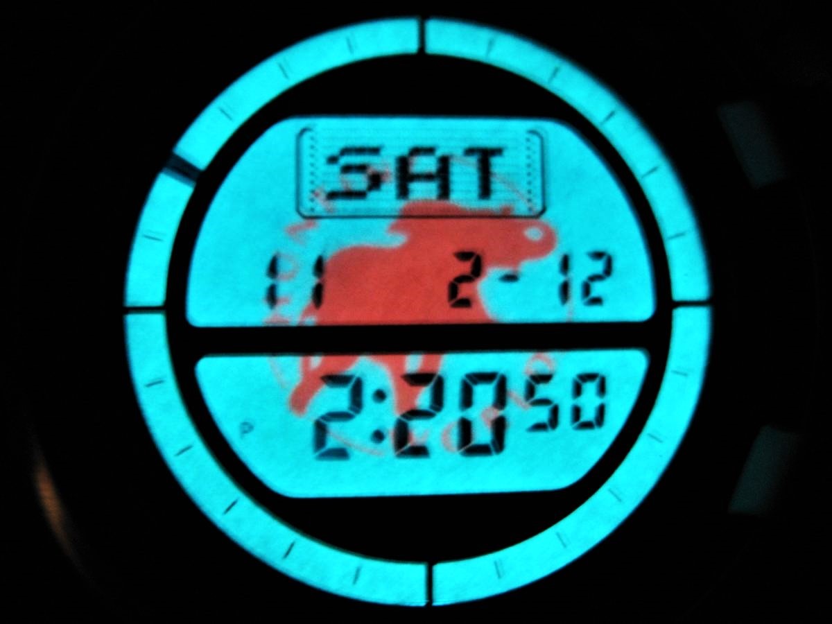 Casio Pro Trek Watch Hunting World 5th Edition Elephant Logo Lighting Thermometer Altimeter Compass [k1087832465]