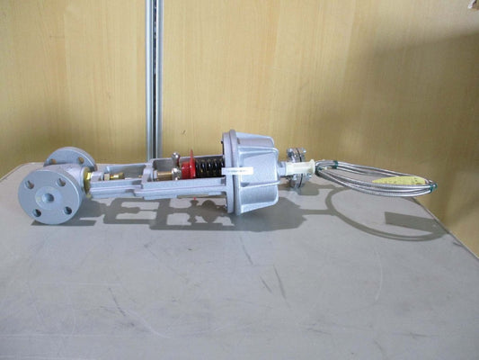 FAYR TD-2 Temperature Regulating Valve Size 20 70-90°C [j1115526150]