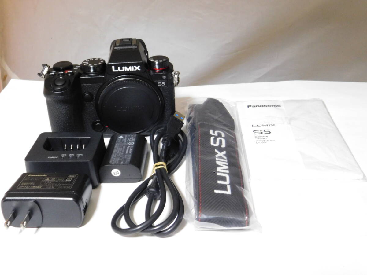 Panasonic LUMIX S5 Mirrorless Camera [v1133149976]