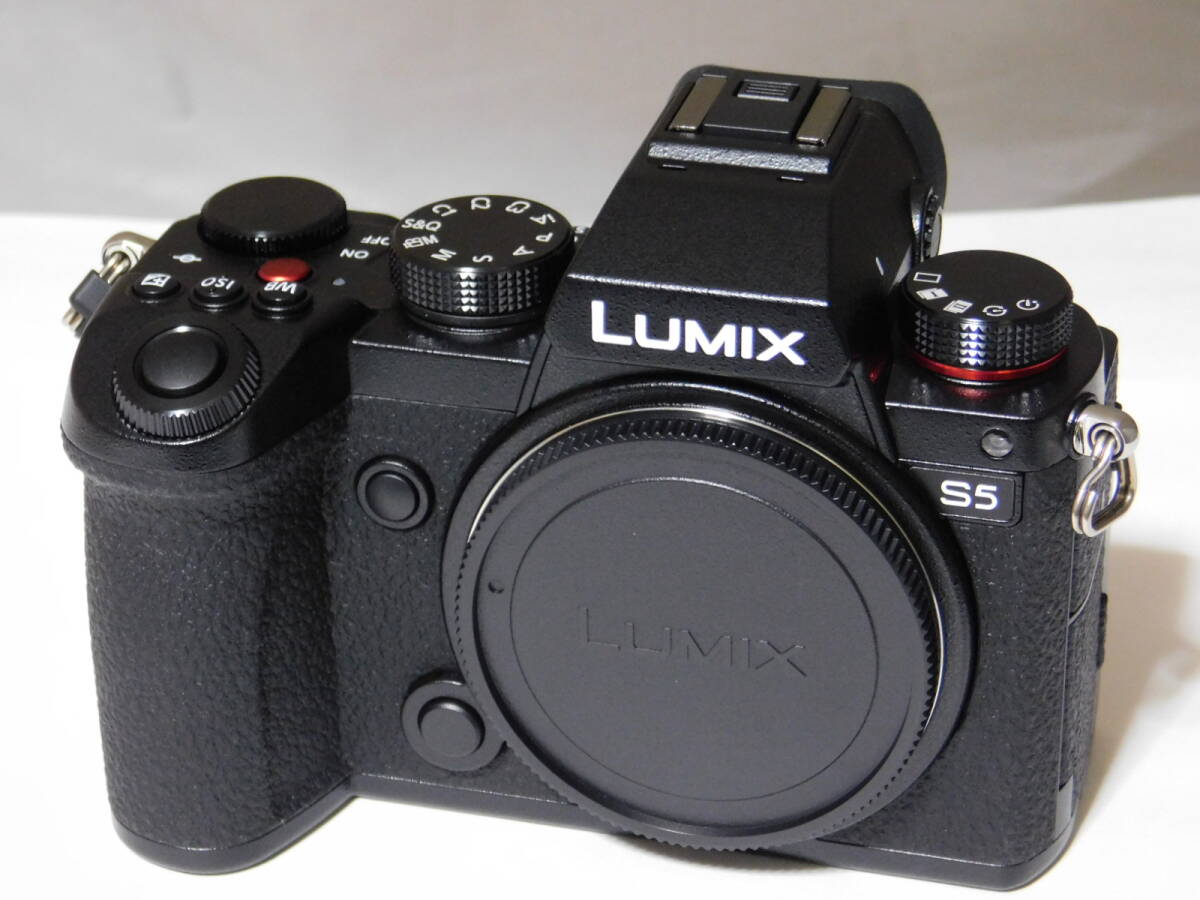 Panasonic LUMIX S5 Mirrorless Camera [v1133149976]