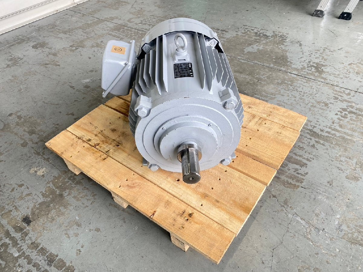 Mitsubishi Electric SF-PRO Induction Motor 3-Phase 400V 22kW 30HP [d1155510766]