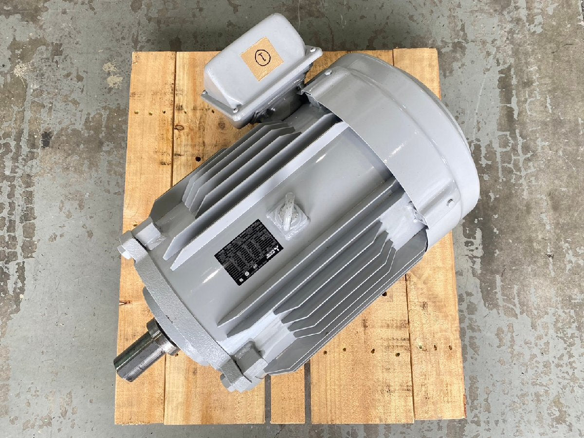 Mitsubishi Electric SF-PRO Induction Motor 3-Phase 400V 22kW 30HP [d1155510766]