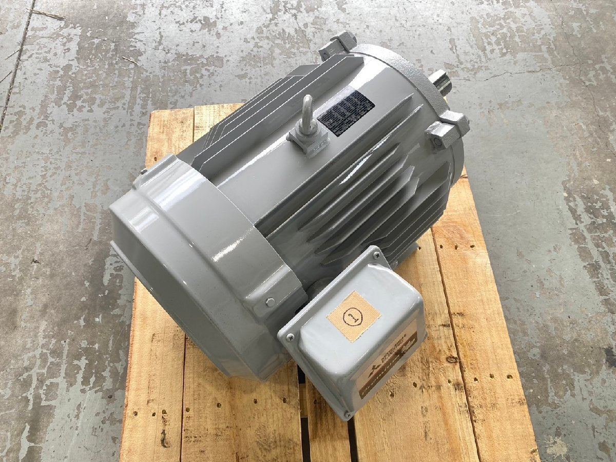 Mitsubishi Electric SF-PRO Induction Motor 3-Phase 400V 22kW 30HP [d1155510766]