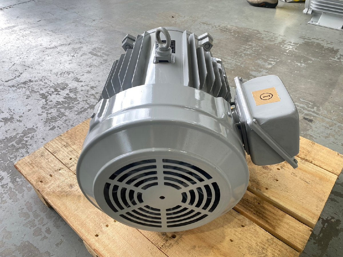Mitsubishi Electric SF-PRO Induction Motor 3-Phase 400V 22kW 30HP [x1155491899]