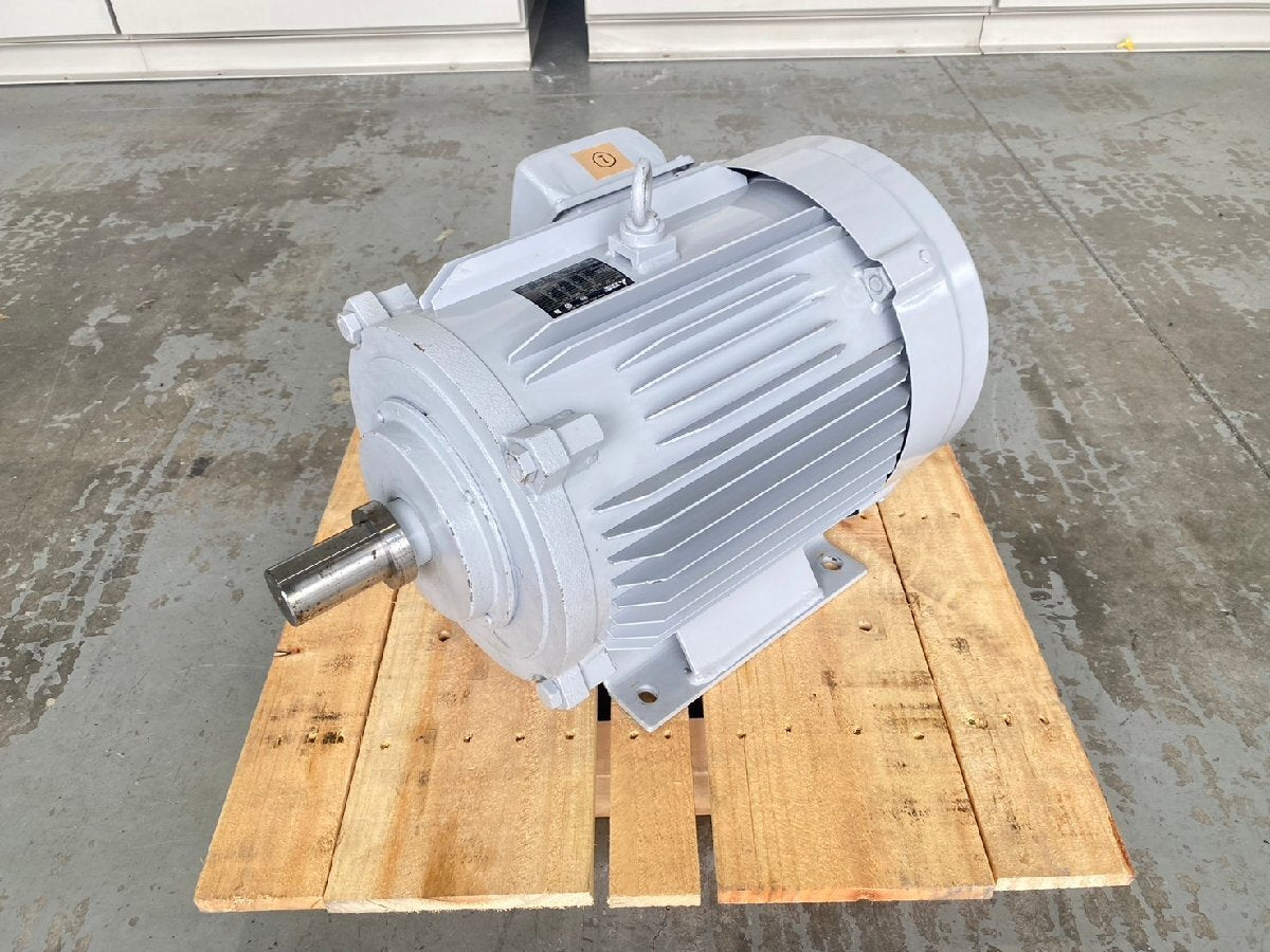 Mitsubishi Electric SF-PRO Induction Motor 3-Phase 400V 22kW 30HP [d1155510167]