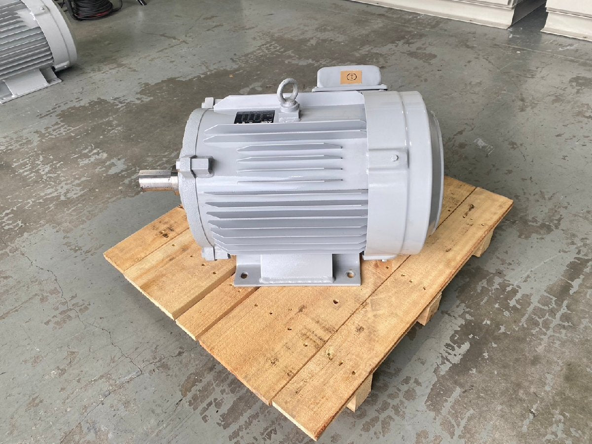 Mitsubishi Electric SF-PRO Induction Motor 3-Phase 400V 22kW 30HP [x1155491899]