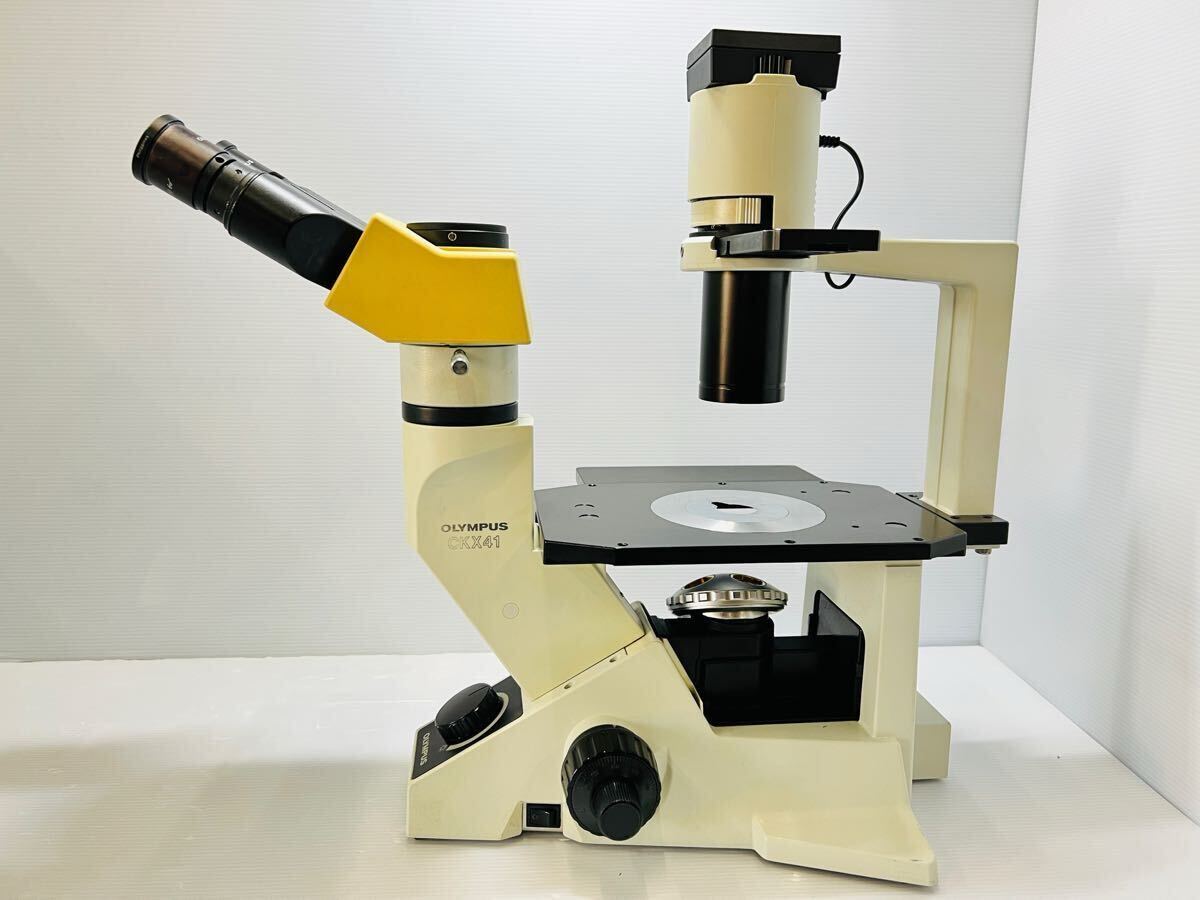 Olympus CKX41SF CKX41 Inverted Microscope [c1165783666]