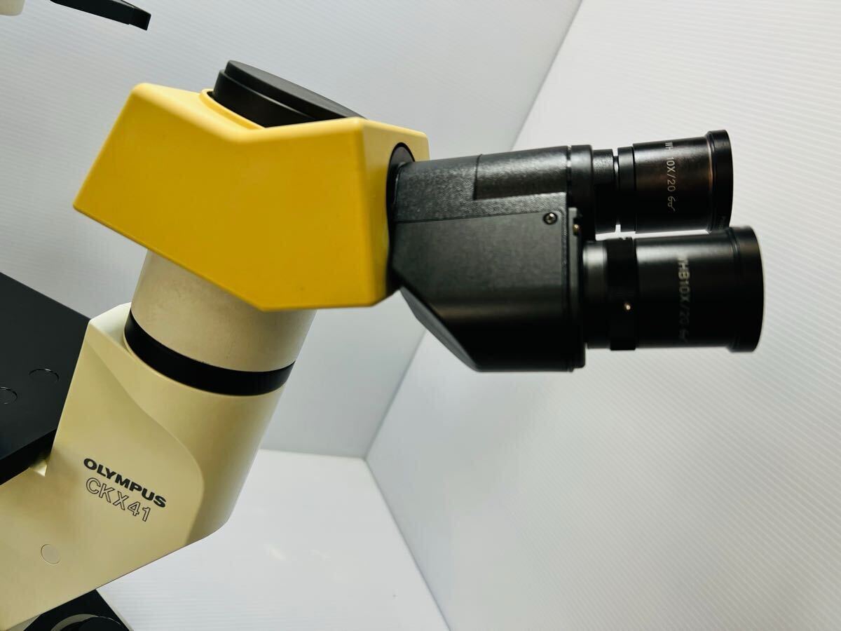 Olympus CKX41SF CKX41 Inverted Microscope [c1165783666]