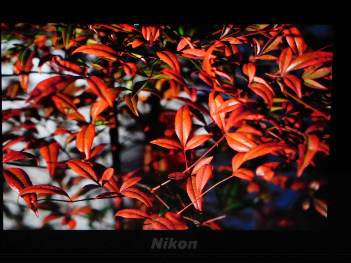 Nikon Z5 Mirrorless Digital Camera [v1174212583]