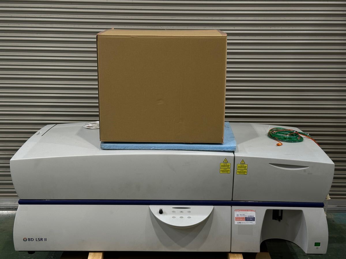 BD LSR II Flow Cytometer [c1174821248]