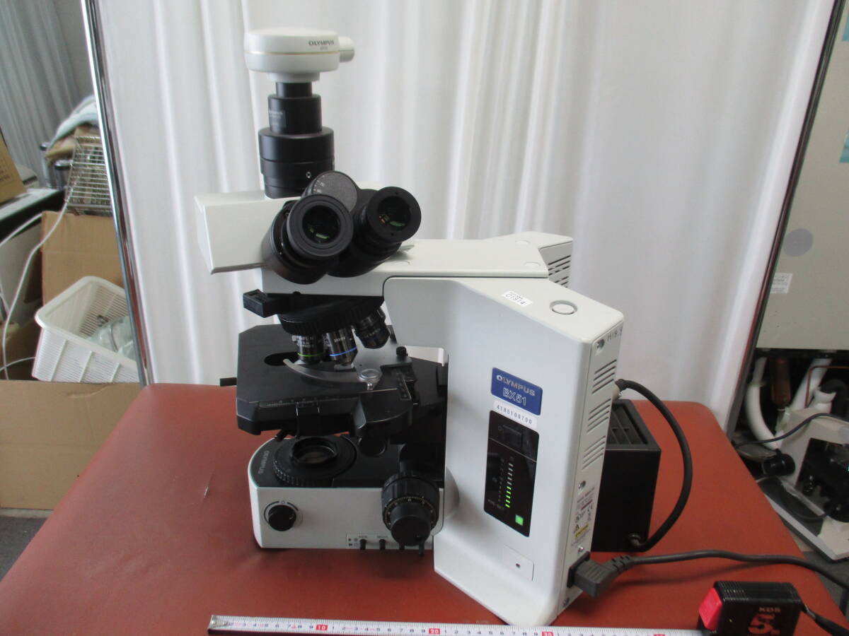 Olympus BX51 Microscope [n1176605522]