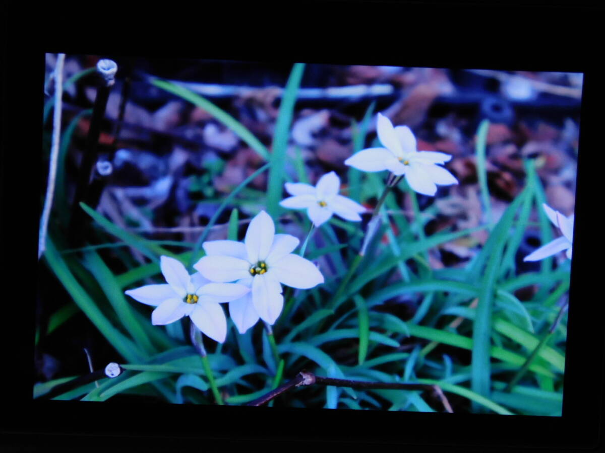 Canon EOS R7 Mirrorless Digital Camera for Celestial Bodies [h1177813974]