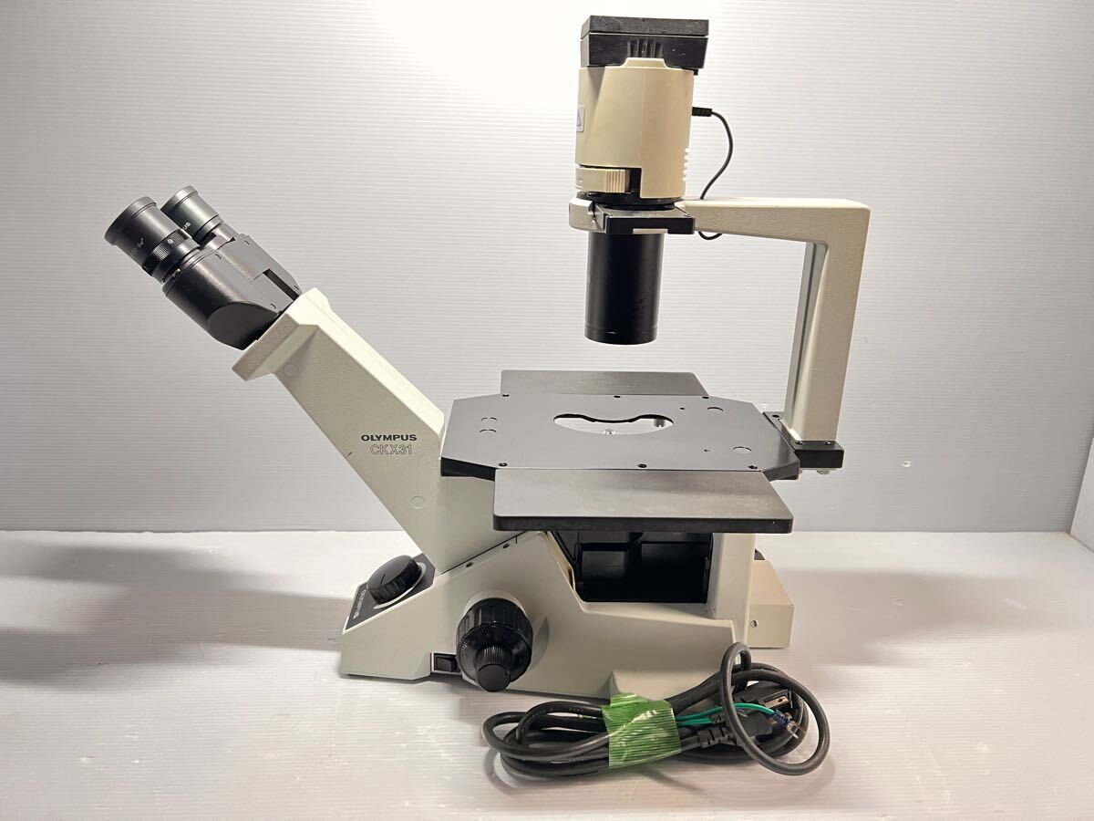 Olympus CKX31SF CKX31 Inverted Microscope with 3 Objective Lenses [f1179664800]