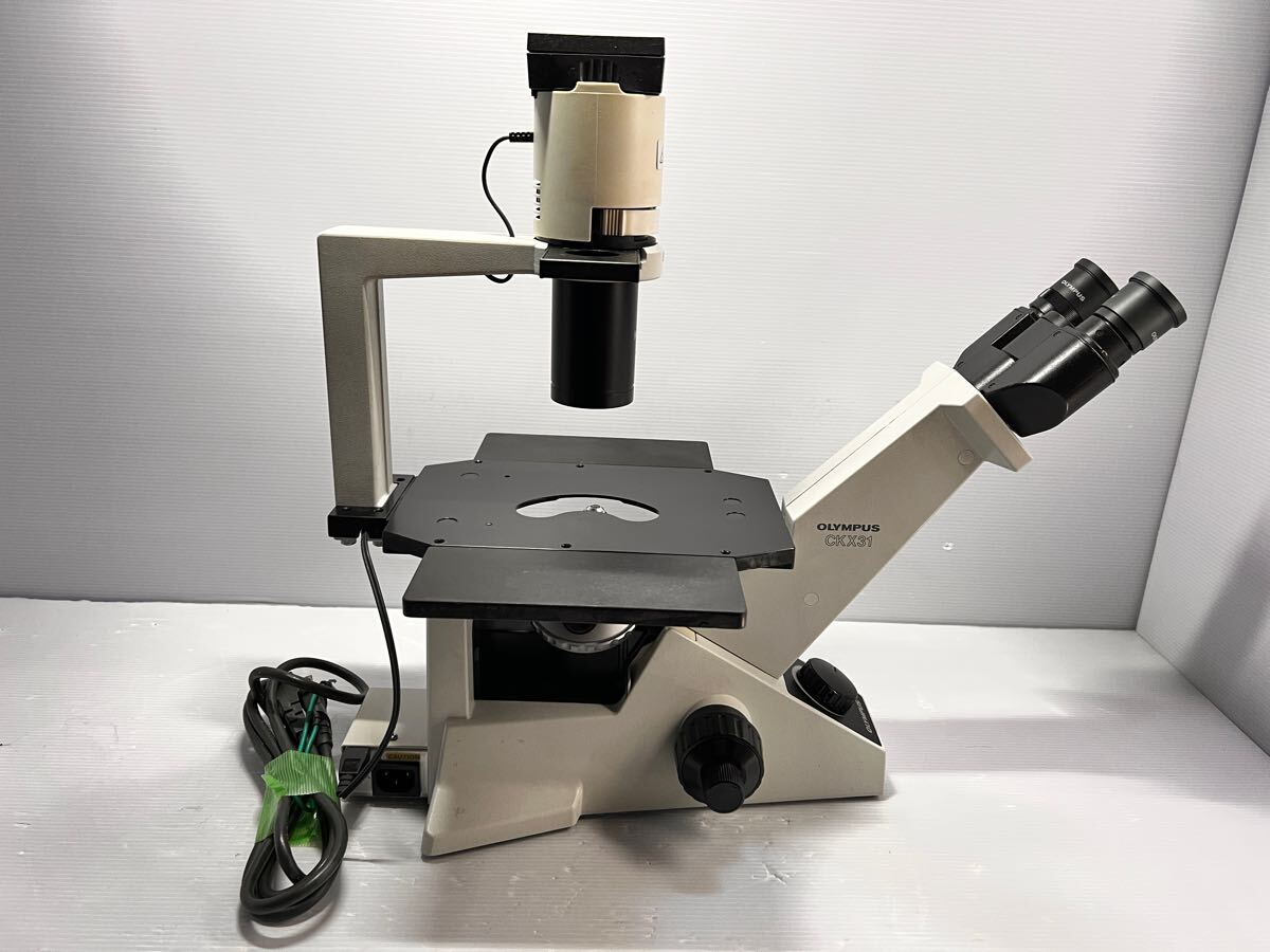 Olympus CKX31SF CKX31 Inverted Microscope with 3 Objective Lenses [f1179664800]