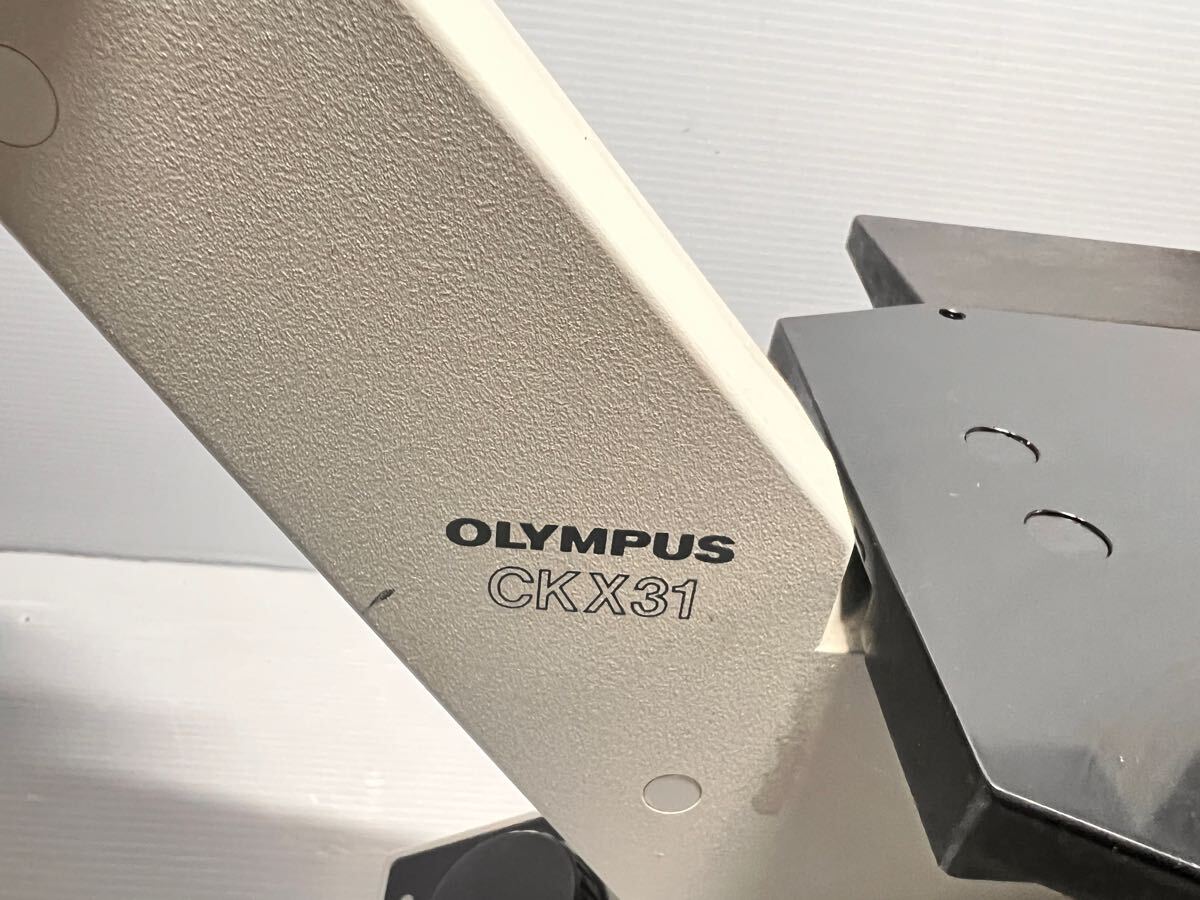 Olympus CKX31SF CKX31 Inverted Microscope with 3 Objective Lenses [f1179664800]