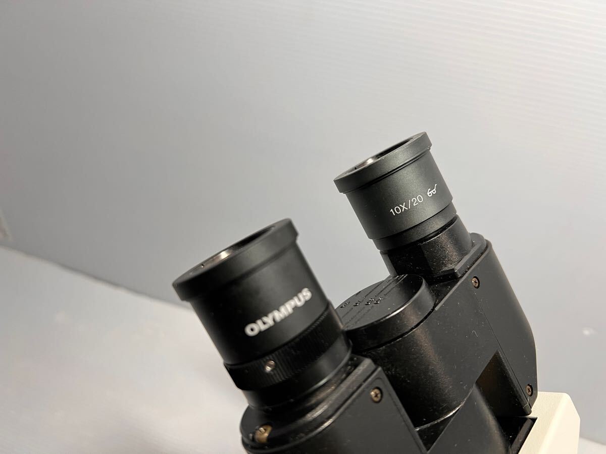 Olympus CKX31SF CKX31 Inverted Microscope with 3 Objective Lenses [f1179664800]
