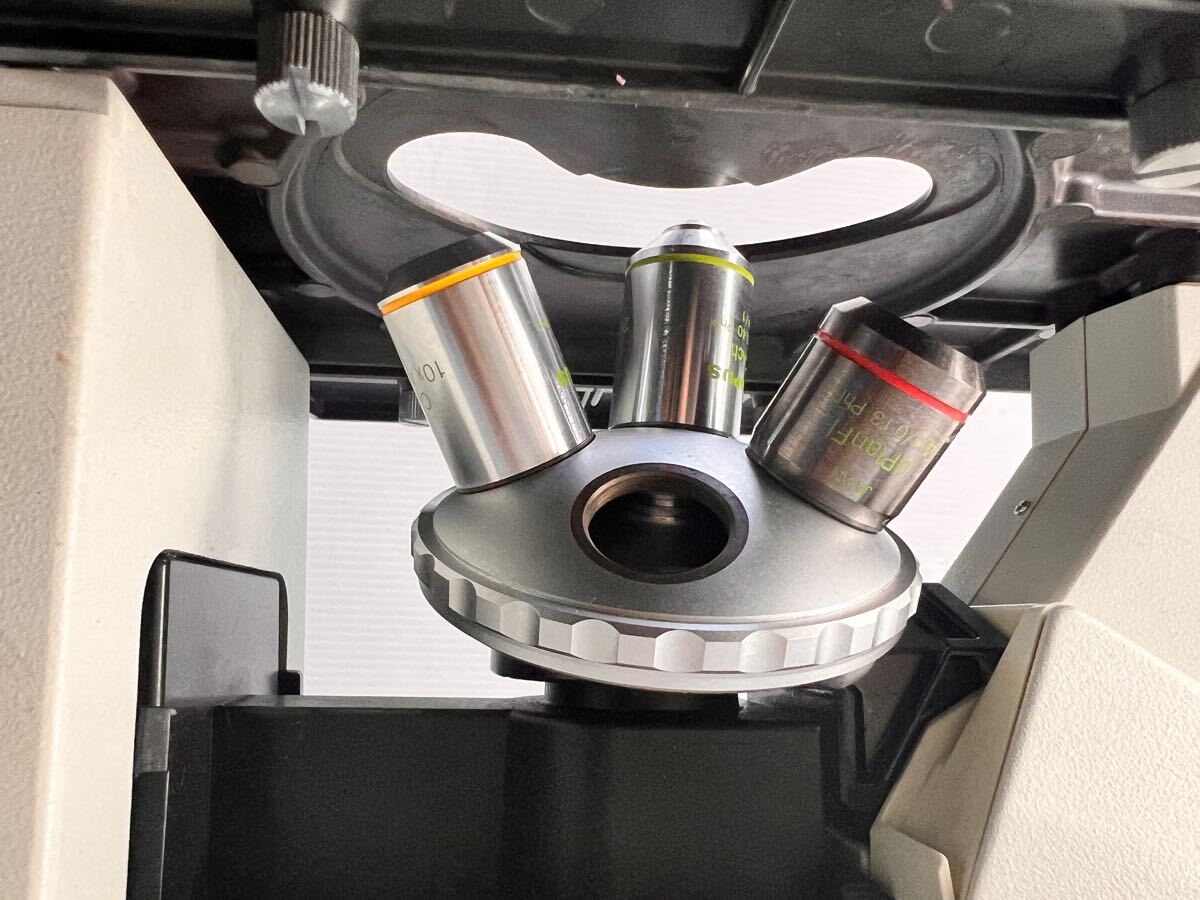 Olympus CKX31SF CKX31 Inverted Microscope with 3 Objective Lenses [f1179664800]