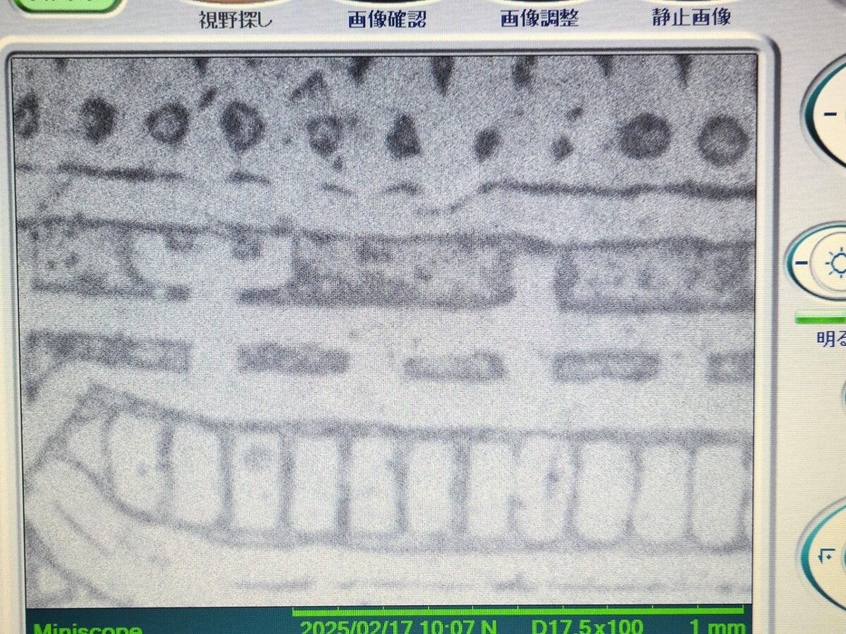 Hitachi High Tech TM3000 Desktop Scanning Electron Microscope SEM [n1182764564]
