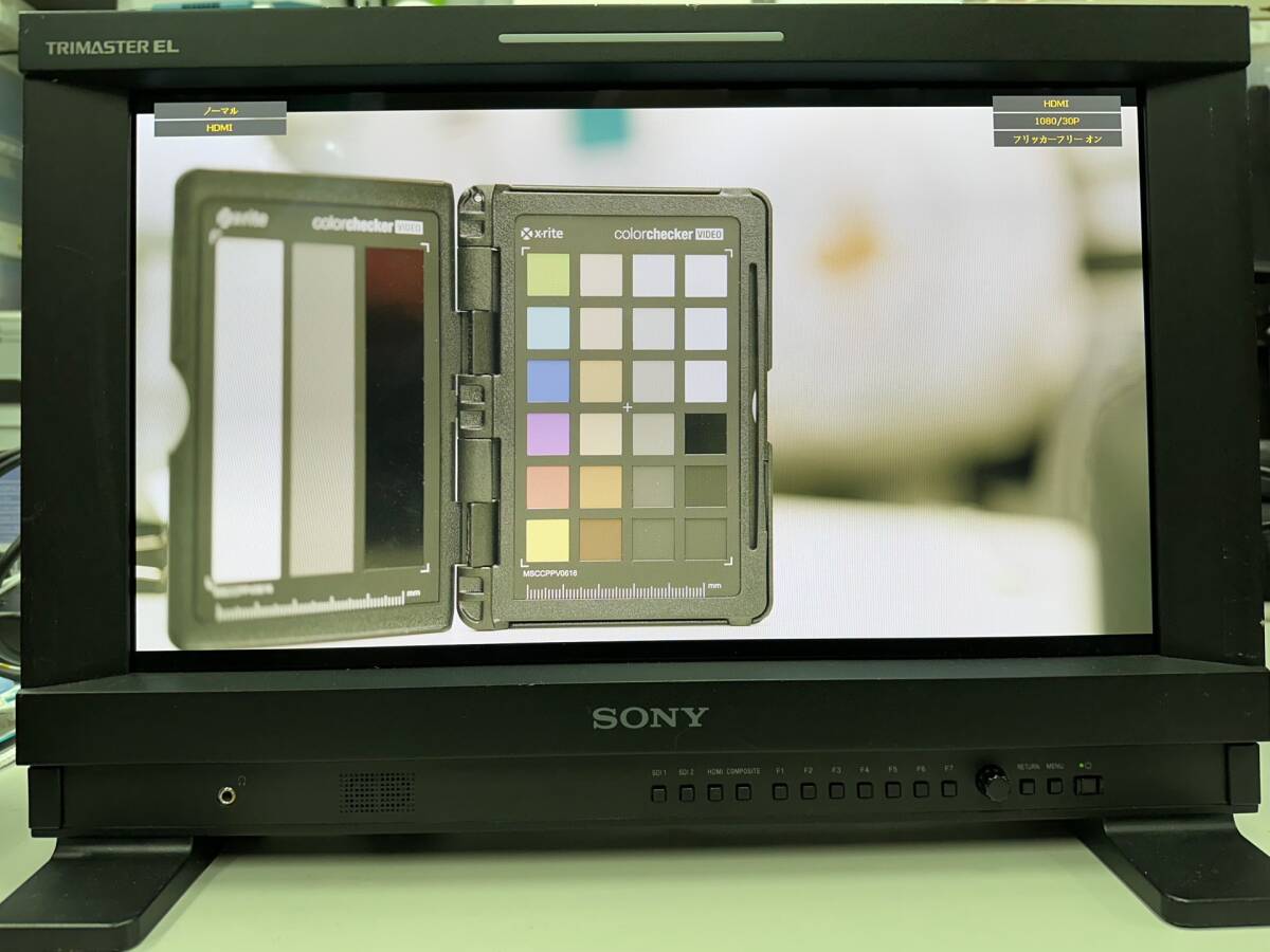 Sony PVM-1741 Commercial Organic EL Monitor 17 inch [m1185002113]