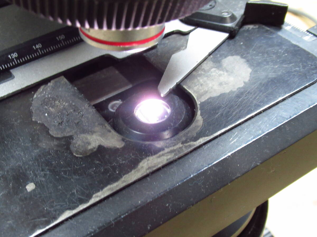 OLYMPUS CX23LEDLFS2 Educational Biological Microscope [u1192743993]