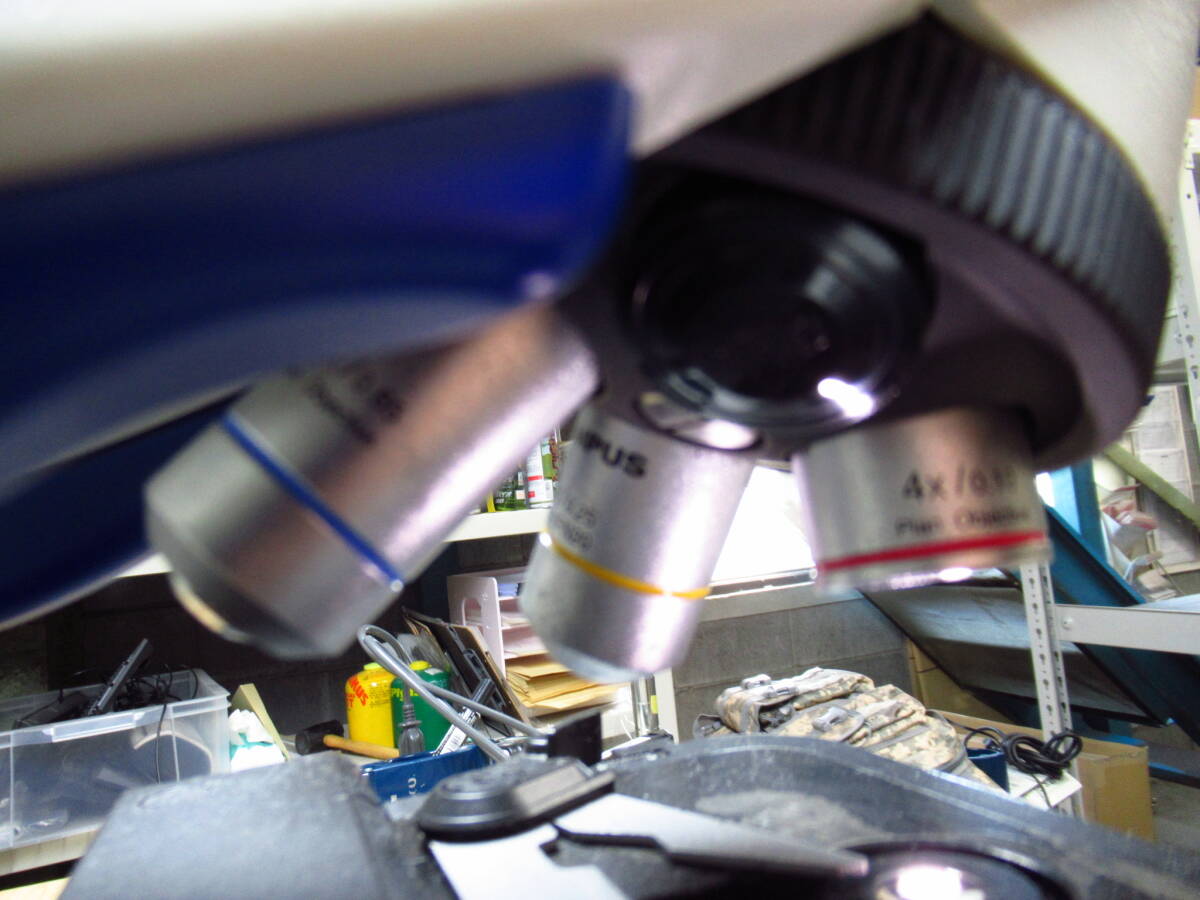 OLYMPUS CX23LEDLFS2 Educational Biological Microscope [u1192743993]