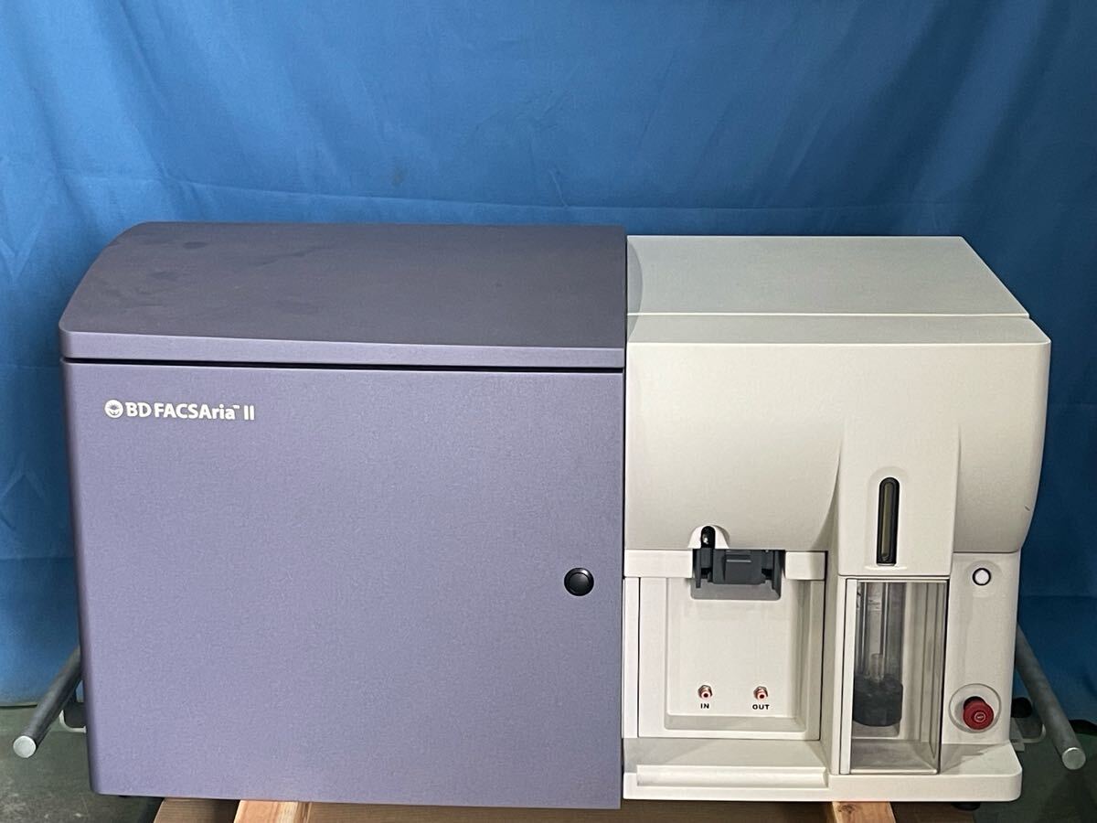 BD FACSAria II Cell Sorter [q1192897485]