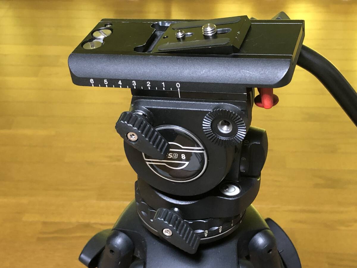 Sachtler 8T 75mm Ball Head COG Plate DV [p1193297919]
