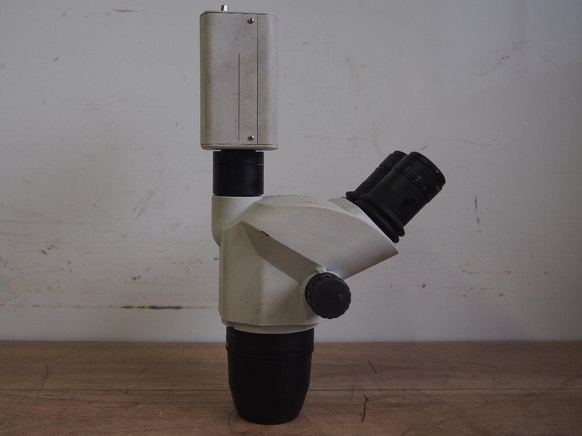 OLYMPUS SZ61TR Stereomicroscope [t1195139697]