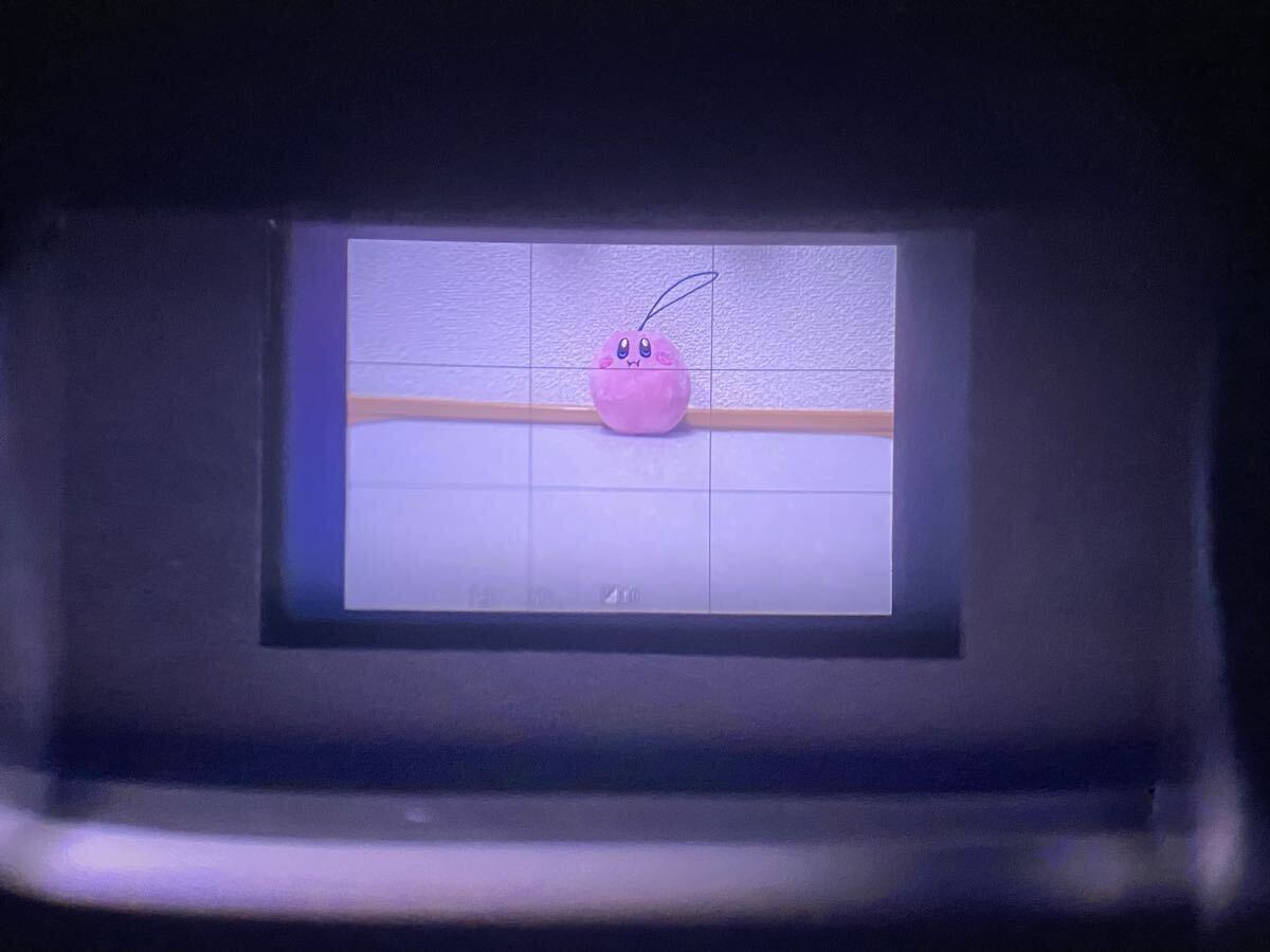 LEICA C-LUX No.1546 Compact Digital Camera Light Gold [v1197079047]