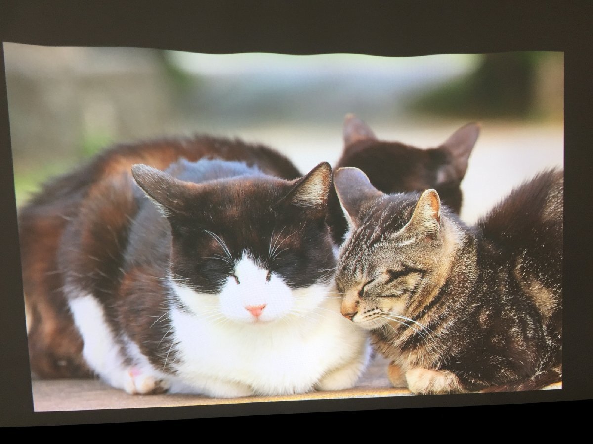 EPSON EH-LS500B 4K Ultra Short Throw Projector [f1197952184]