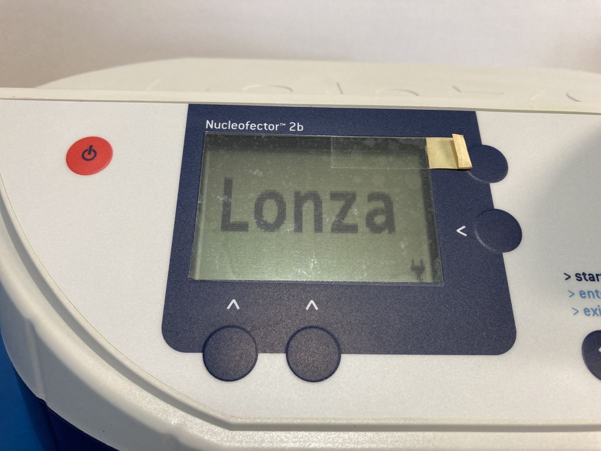 LONZA Nucleofector 2b Gene Transfer Device Electroporator [f1199377667]
