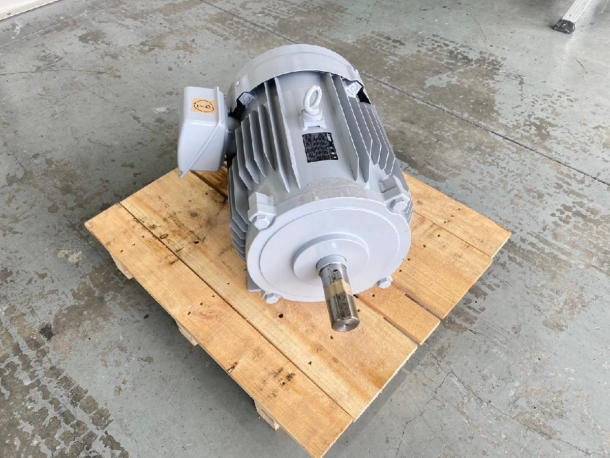Mitsubishi Electric SF-PR Induction Motor 3-Phase 400V 4P 22kW [q1199926875]