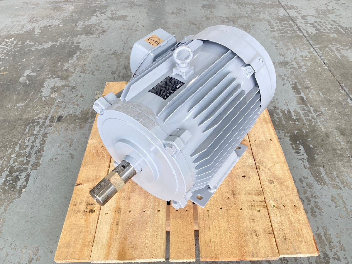 Mitsubishi Electric SF-PR Induction Motor 3-Phase 400V 4P 22kW [q1199926875]
