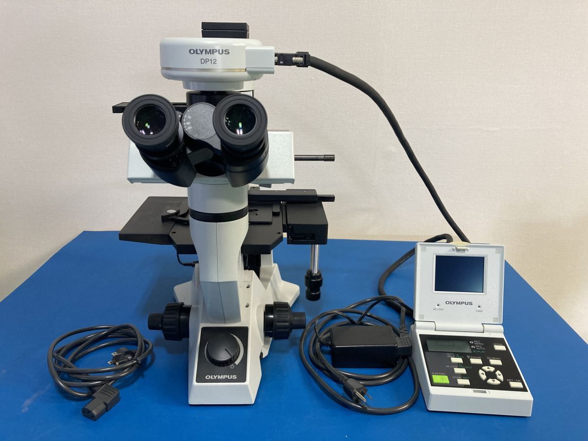OLYMPUS CKX41 Inverted Microscope [u1200291280]
