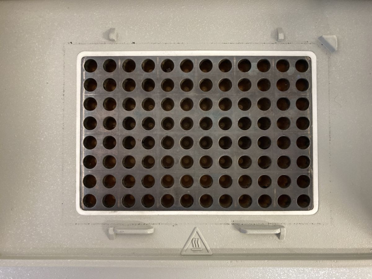 Applied Biosystems GeneAmp PCR System 9700 [l1200280611]