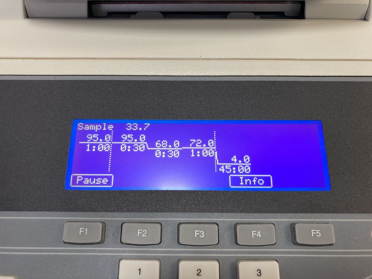 Applied Biosystems GeneAmp PCR System 9700 [l1200280611]