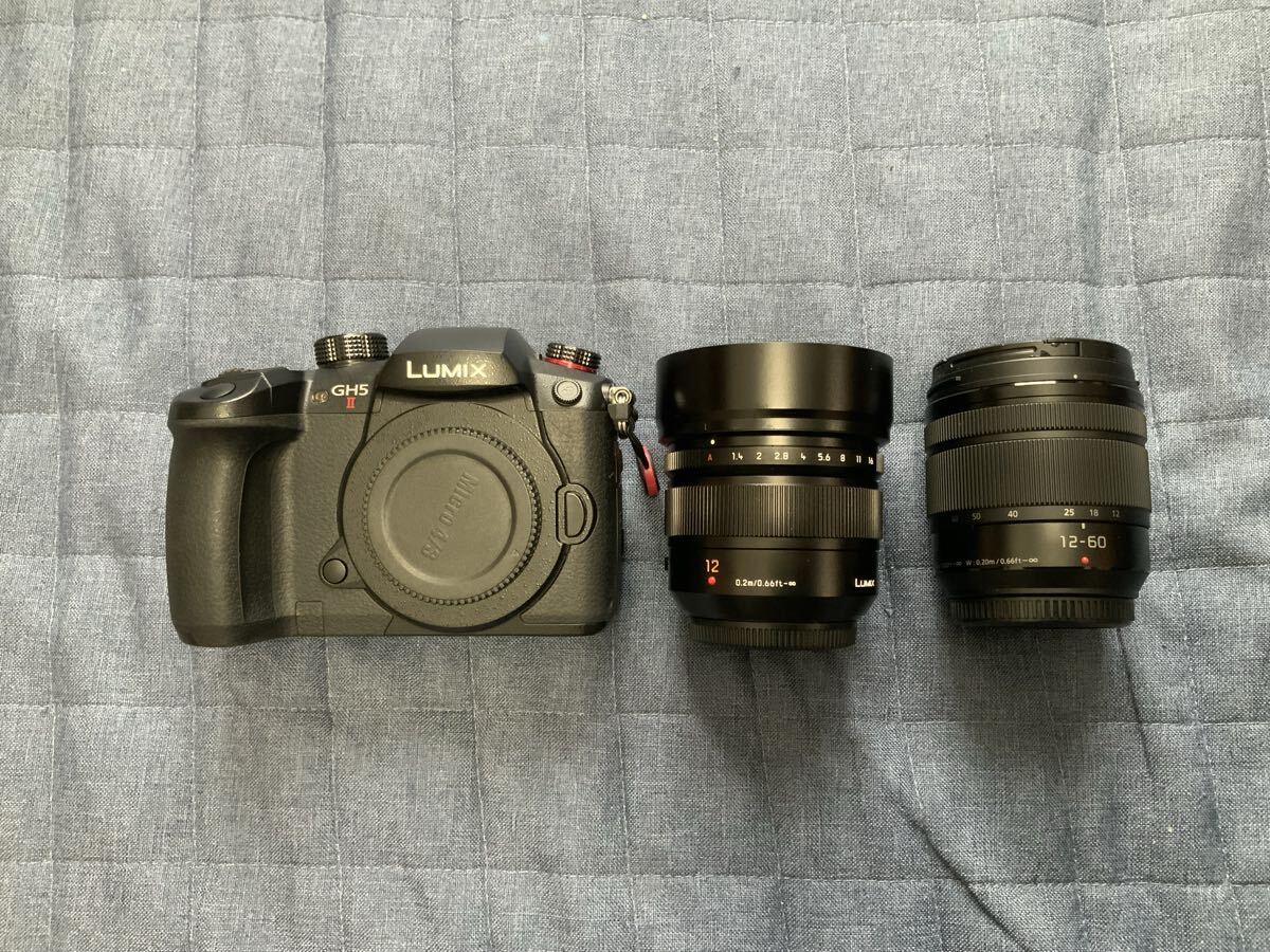 Panasonic LUMIX GH5M2 LEICA DG SUMMILUX 12mm F1.4 ASPH LUMIX G VARIO 12-60mm F3.5-5.6 H.POWER O.I.S. Lens Set [b1206431492]