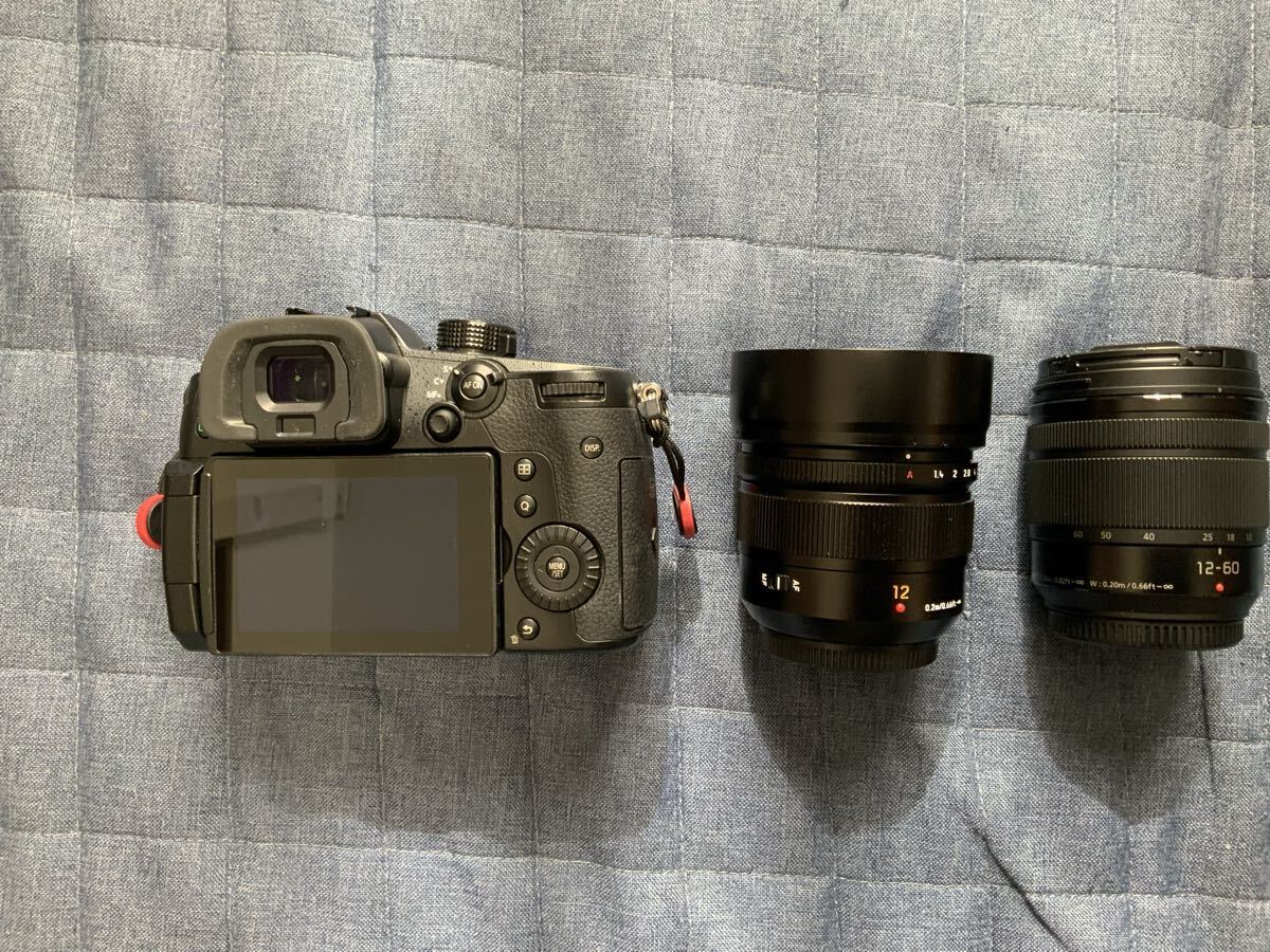 Panasonic LUMIX GH5M2 LEICA DG SUMMILUX 12mm F1.4 ASPH LUMIX G VARIO 12-60mm F3.5-5.6 H.POWER O.I.S. Lens Set [b1206431492]