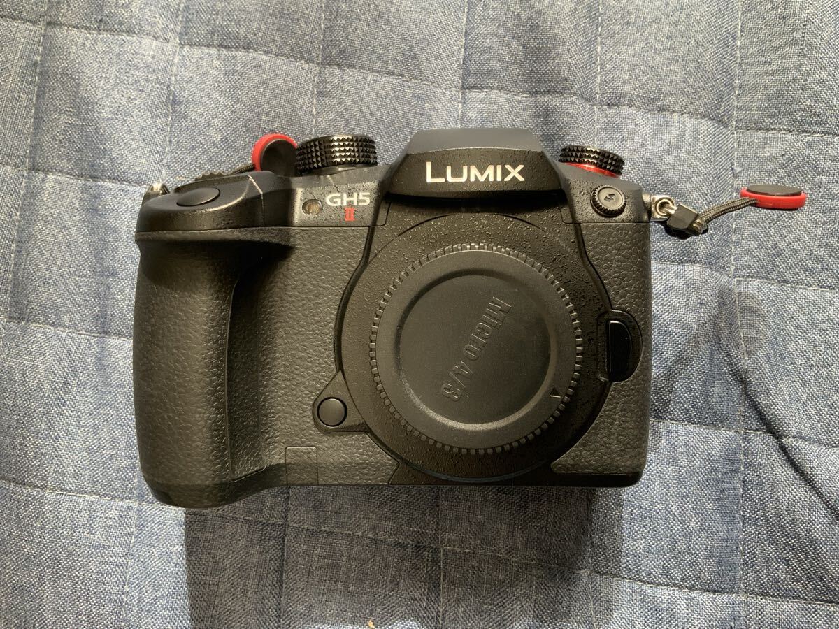 Panasonic LUMIX GH5M2 LEICA DG SUMMILUX 12mm F1.4 ASPH LUMIX G VARIO 12-60mm F3.5-5.6 H.POWER O.I.S. Lens Set [b1206431492]