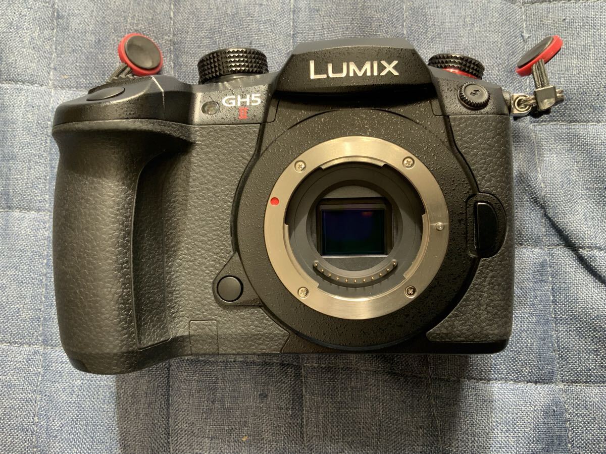 Panasonic LUMIX GH5M2 LEICA DG SUMMILUX 12mm F1.4 ASPH LUMIX G VARIO 12-60mm F3.5-5.6 H.POWER O.I.S. Lens Set [b1206431492]
