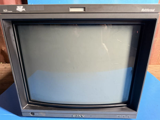 SONY BVM-D20F1J Professional Broadcast Monitor [k1211023295]