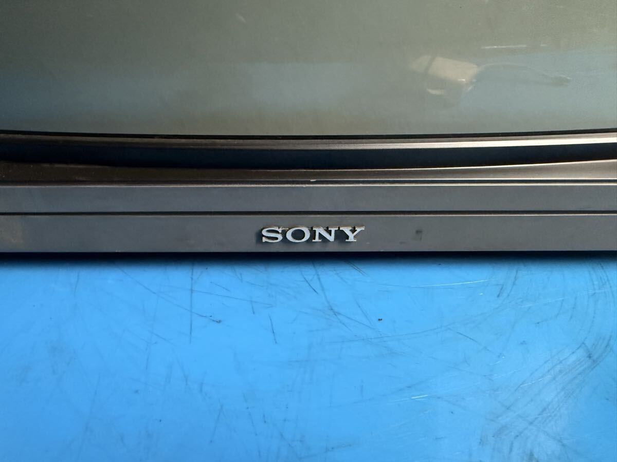 SONY BVM-D20F1J Professional Broadcast Monitor [k1211023295]