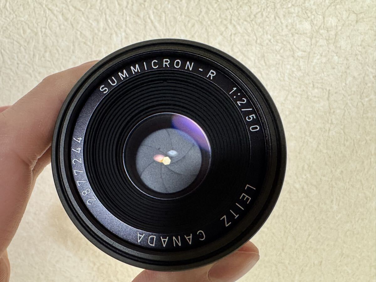 Leica R3 SAFARI Model SUMMICRON-R 50mm F2 Lens Set Olive Color [b1212524175]