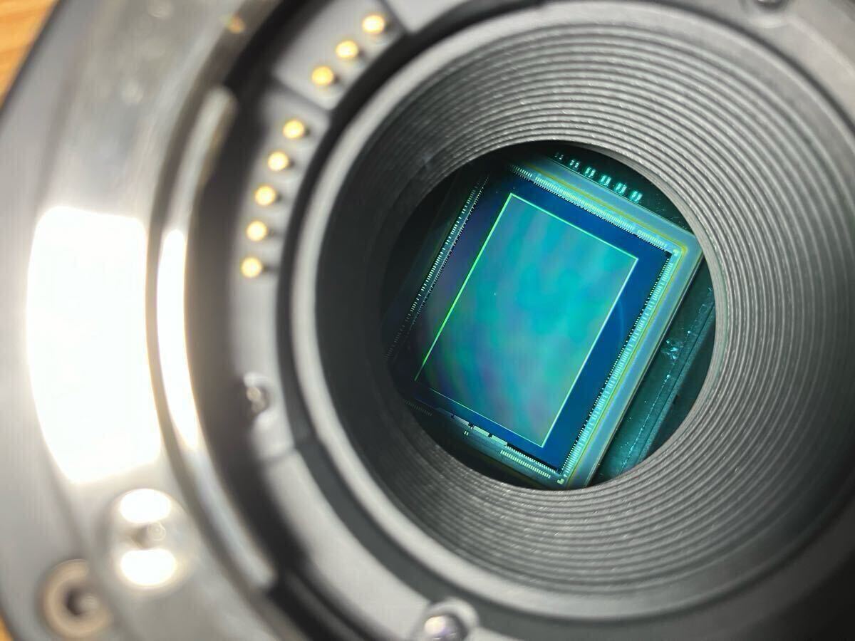 Blackmagic Pocket Cinema Camera 6K EF [k1213210447]