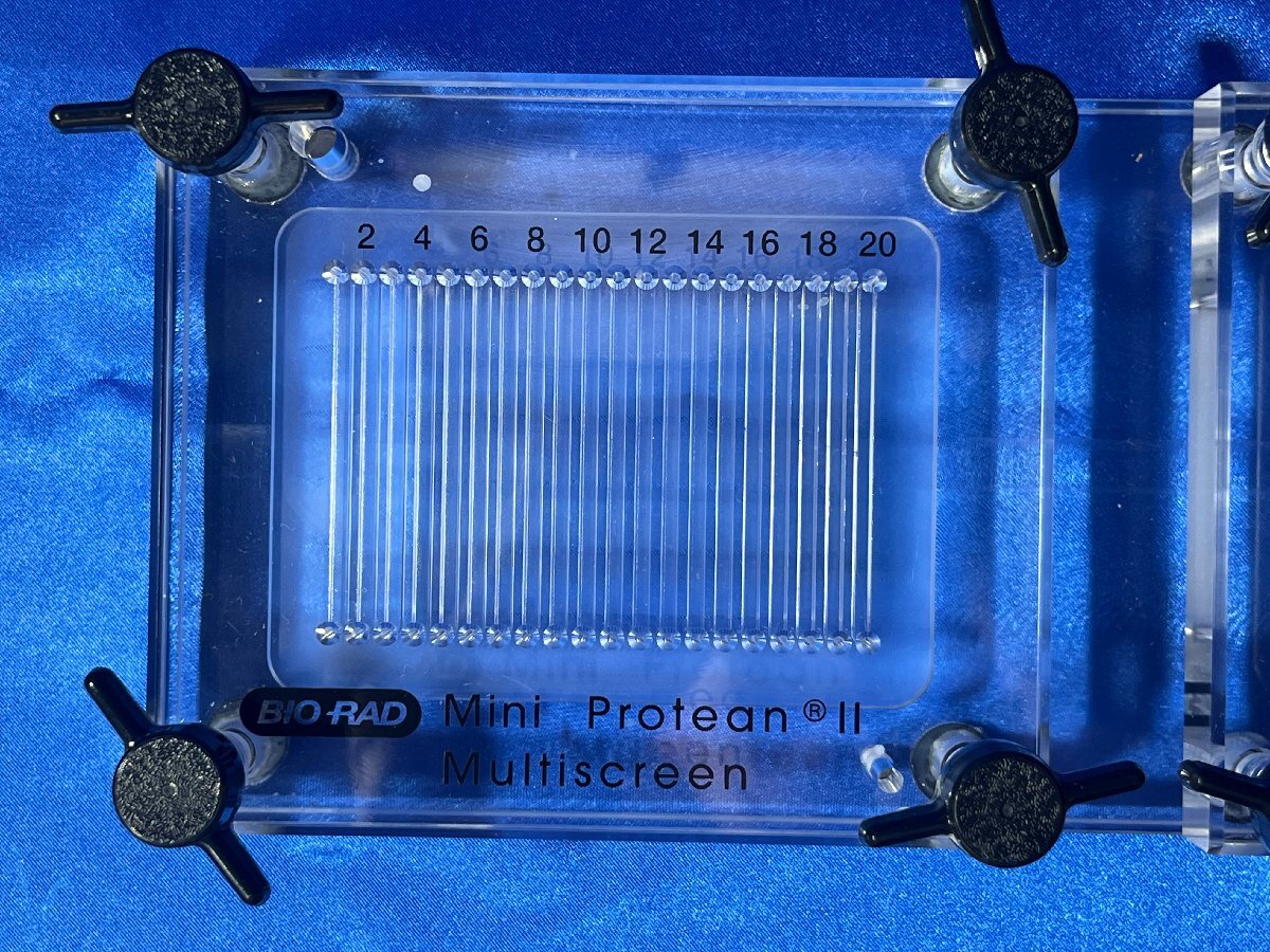 BIO RAD Mini PROTEAN II Multi-Screen Device 170-4017 [w1213742202]